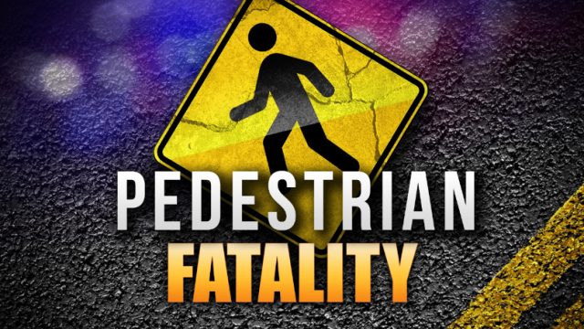 Tragic Incident in Joplin: Pedestrian Loses Life in Traffic Accident | burberry hero, probet88 slot,