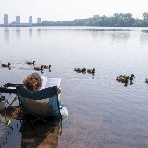 Prepare for the Heatwave: Essential Tips
