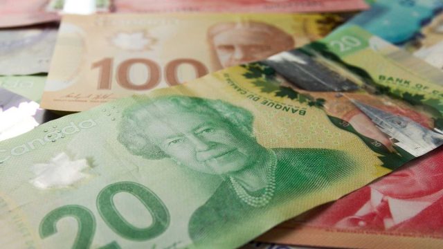New Canada Grocery Benefit Payments Launch This Week | trik menang main bandarq, mpo deposit 25 bonu