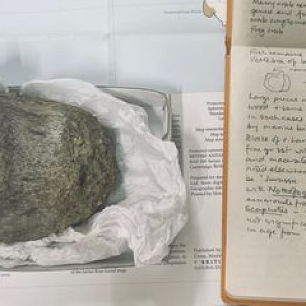 Unlocking the Past: A Groundbreaking Dinosaur Discovery in Antarctica | rtp zeus, viral4d slot net