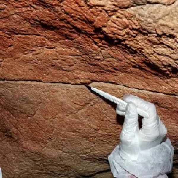 Unlocking the Secrets of Our Ancestors: Ancient DNA from Cave Art | rtp trik88, bt sport 1 live, ha 
