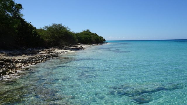 Discover Puerto Rico's Hidden Island Paradise for a Unique Escape | raja hoki168, slot36
